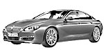 BMW F06 P300C Fault Code